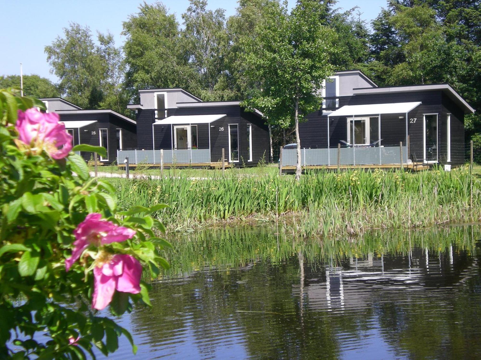 Asaa Camping & Cottages الغرفة الصورة